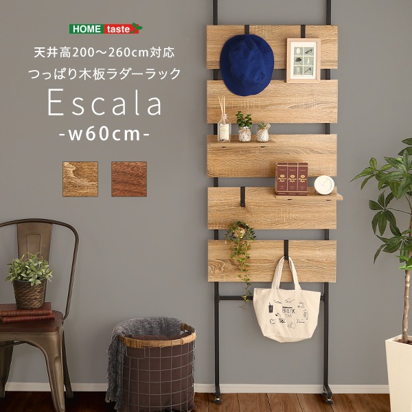 �ͤ�ĥ�����ĥ������å�����60cm�ˡ�Escala-����������-��