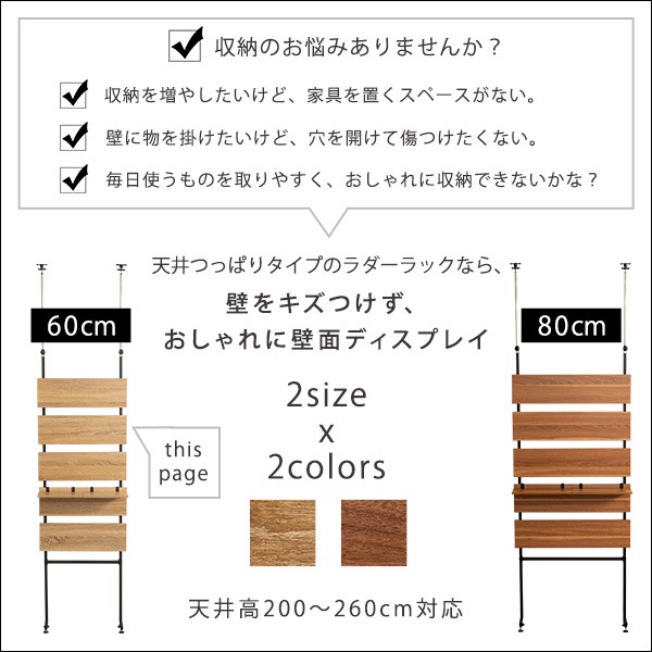 �ͤ�ĥ�����ĥ������å�����60cm�ˡ�Escala-����������-��