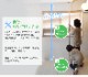 NHK֤Ϥ褦ܡפޤɾ󼼤ǾҲ𡪥ݡ 1ܥס岼ե꡼M
