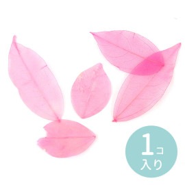 5枚入 ナチュラルオーガンジーリーフ ピンク 約25〜50×40〜80mm / 桃色 桃 はっぱ 葉 leaf 透かし 封入 レジン デコ素材 デコレーション 装飾パーツ ふわふわ ふんわり 撮影小道