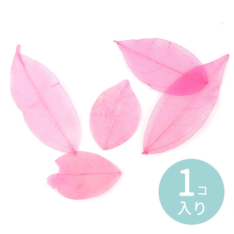 5枚入 ナチュラルオーガンジーリーフ ピンク 約25～50×40～80mm / 桃色 桃 はっぱ 葉 leaf 透かし 封入 レジン デコ素材 デコレーション 装飾パーツ ふわふわ ふんわり 撮影小道具 赤 red ゆめかわいい【ゆうパケット対応】
