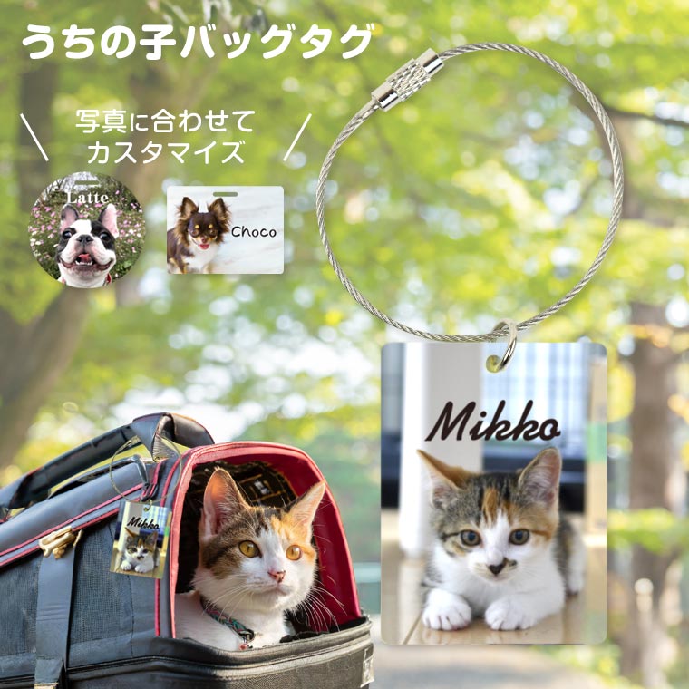 うちの子 フォトバッグタグ クリアアクリル 厚さ3mm アンシャンテラボ / ネームプレート ネームタグ ペットキャリー キャリー 目印 カート キャリー 旅行鞄 名前 写真 お散歩 お出かけ 犬 いぬ ねこ 猫【ゆうパケット対応】