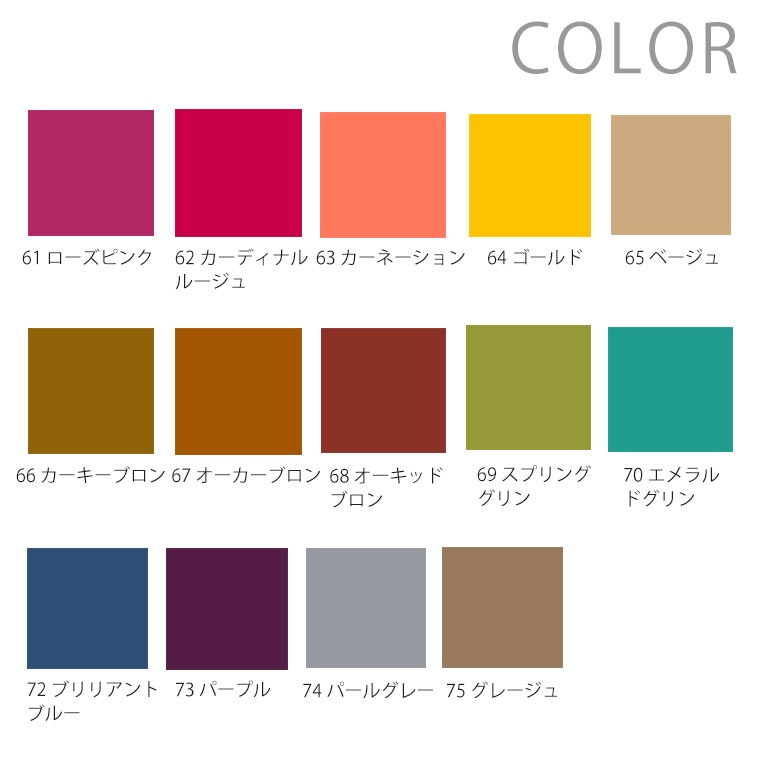 みやこ染 コールダイホット ポリエステルダイ 染料 着色料 着色