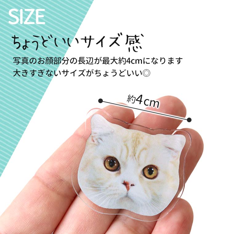 うちの子 フェイスマグネット 長辺4cm アンシャンテラボ / クリア