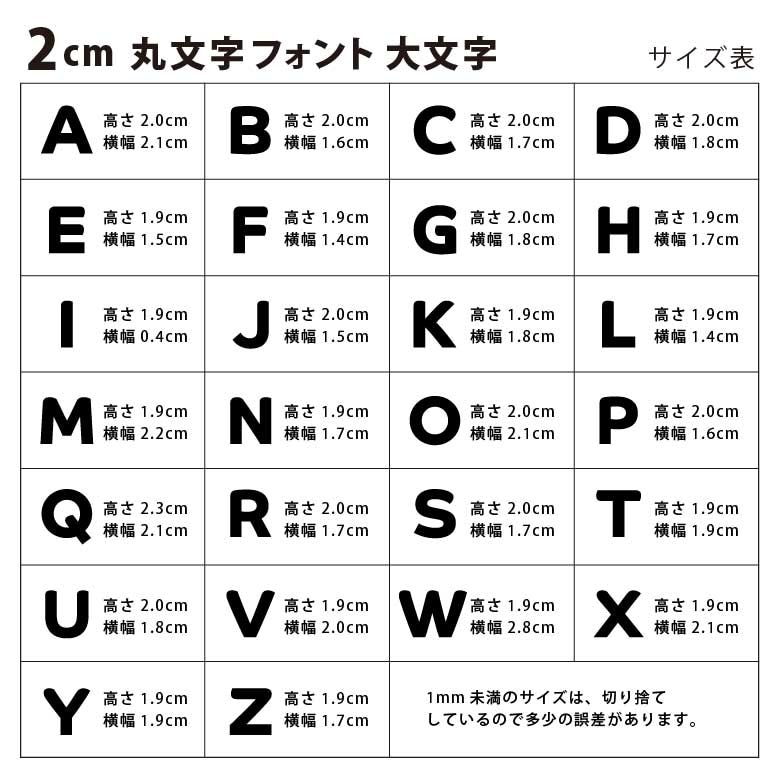 アクリル製 シルバー ミラー 切り抜き文字 アルファベット 2cm アン