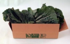 ���������Վ����ָ����̵��������̵�����������ݡ�