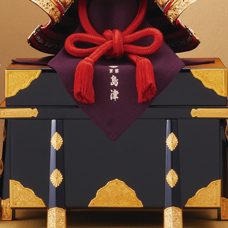 ������ݿ�