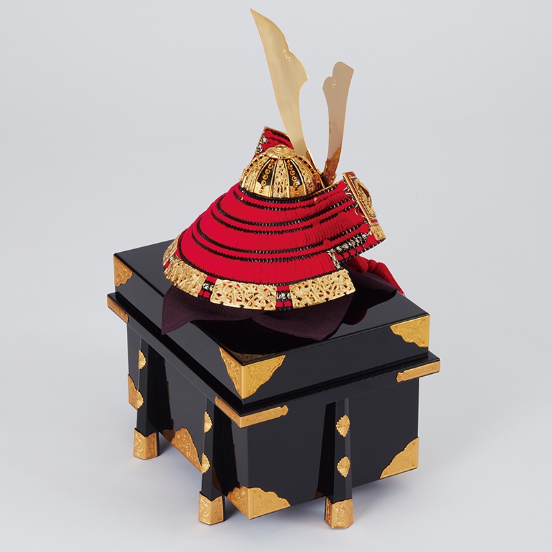 ������ݿ�