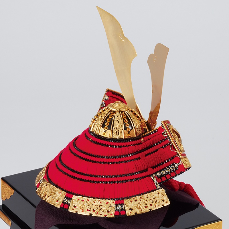 ������ݿ�