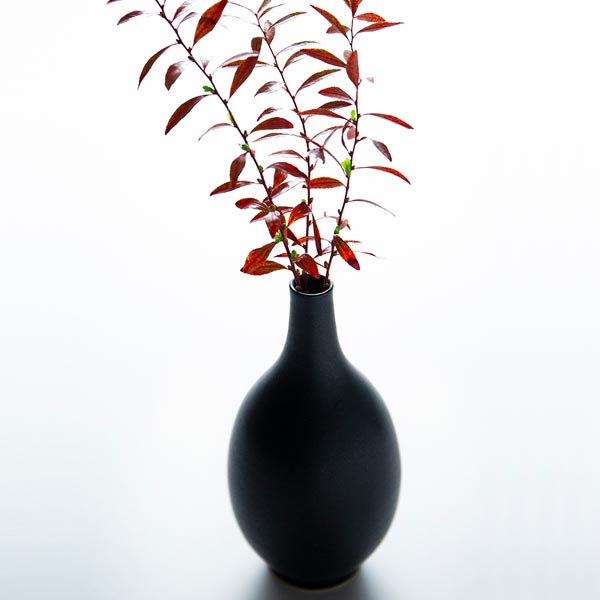 クロテラス 花器　つぼみ