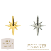 シャインボディーピアス