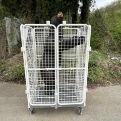 中古｜熊のモニュメント 動物のモニュメント 建造物｜動産王｜千葉｜引取｜送料別の商品ページへリンク