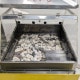 中古|セラミックオーブン SC-D1-SP 小野食品 2016年 焼き芋機械 |動産王|福岡|送料無料