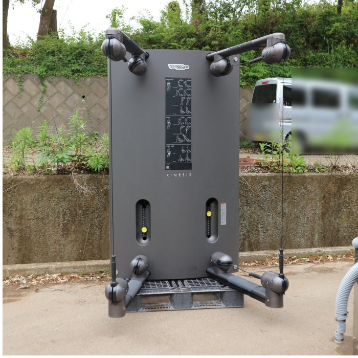 値下げ可能！希少品！テクノジムキネシスワン