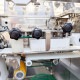 中古|プルミエール自動機 MS-18M 古河工業 2019年 自動成型機 餡子成型機 |動産王|福岡|送料無料