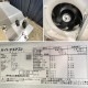 中古｜天カセエアコン 6馬力 内機FHCP80FD 外機RZRP80BYV ダイキン 2024年 天井カセット 業務用 リモコン無し ｜動産王｜愛知｜送料無料