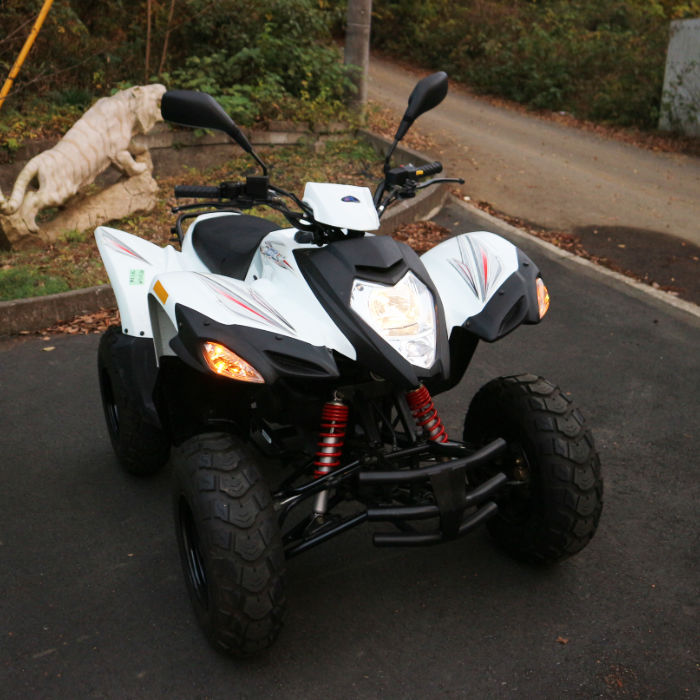 【中古】 ADLY 四輪 バギー ATV50RS ホワイト 2019年 【動産王】千葉☆送料無料