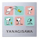 ���٤���� ��������ɽ�� �ݻ������� ��ǽ���쥵���� ���̡��ԡ������� ���ƥ�쥹 NSPMPSS-S7-27 ��130mm�߹⤵130mm