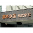 ݻ  ɽ ڤʸ CHʸ ʸ155200mm ƥ쥹̡﫥إ饤Ƽإ饤 1ʸ