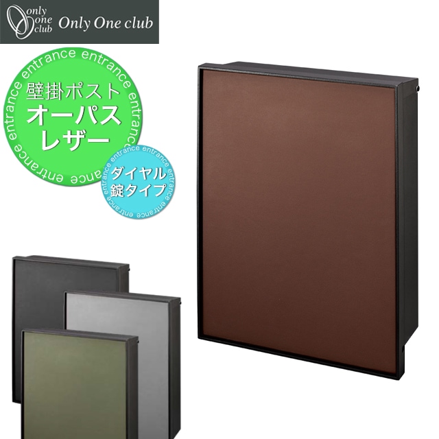 オンリーワン 郵便ポスト OPASS Leather オーパス レザー NA1-PTO06