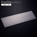 �ݻ������� �������� ɽ�� ������ Foschia �ե��������� FSC4 ���ƥ�쥹 ��230mm�߹⤵70mm