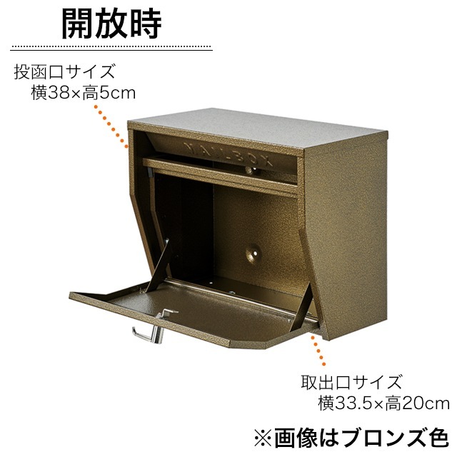 2_000000005729.jpg?1727319703