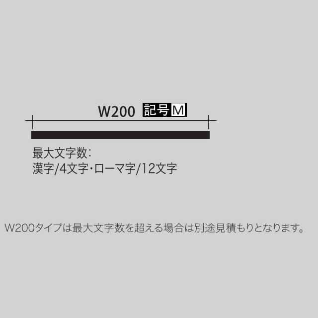 ��L���С���Ω�δ����С� ɽ�� ���ƥ�쥹 ��ʸ�������� ���󥰥쥢 ANM W200 �ܥ�ȥ����� ����4ʸ���������޻�12ʸ���ޤ�