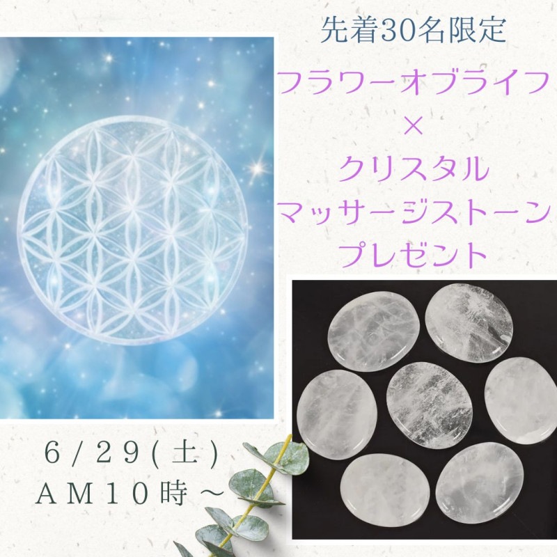 �ե����֥饤�աߥ��ꥹ����ޥå��������ȡ���ץ쥼��ȥ����ڡ���