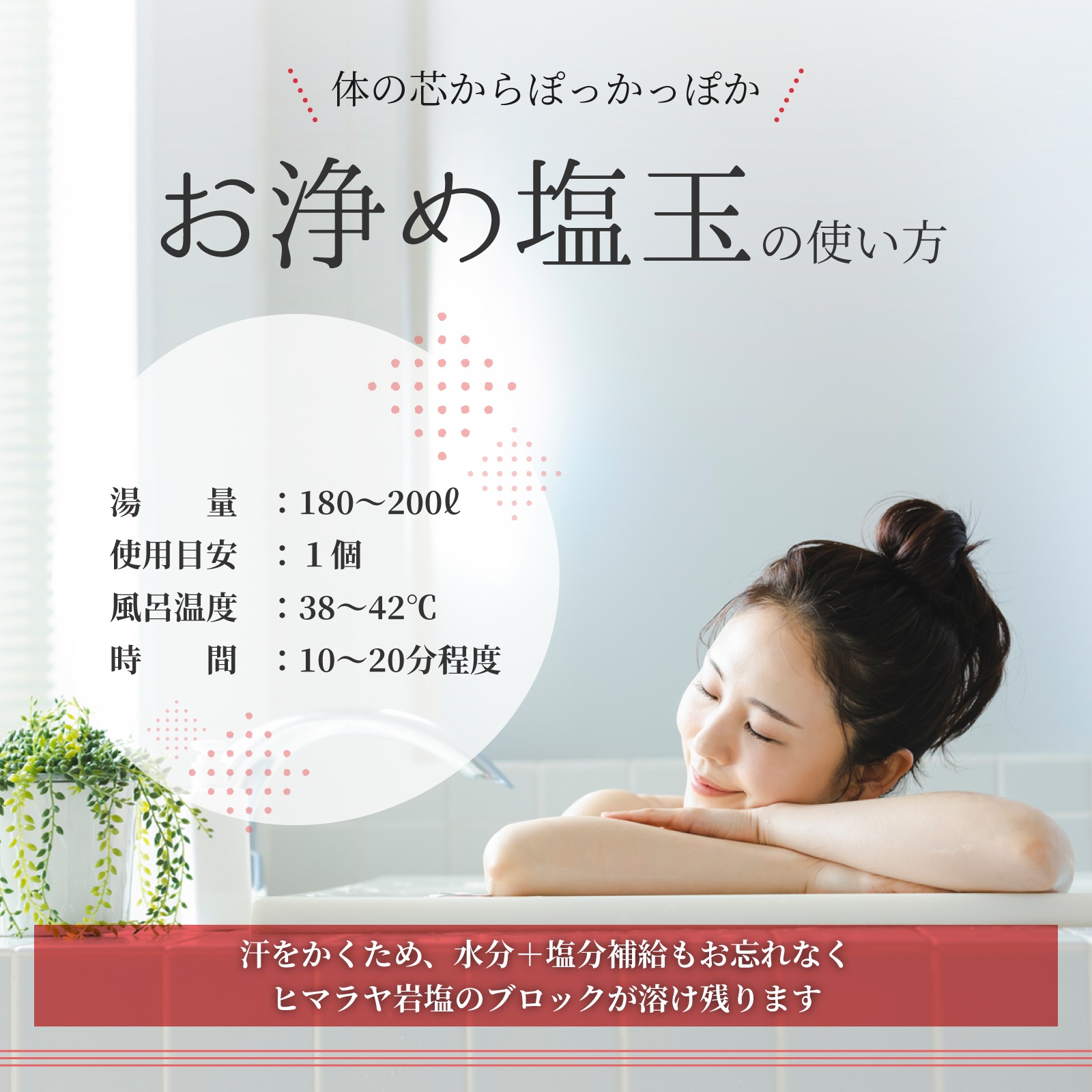 �����ѥХ��ܥ�֤�������̡�