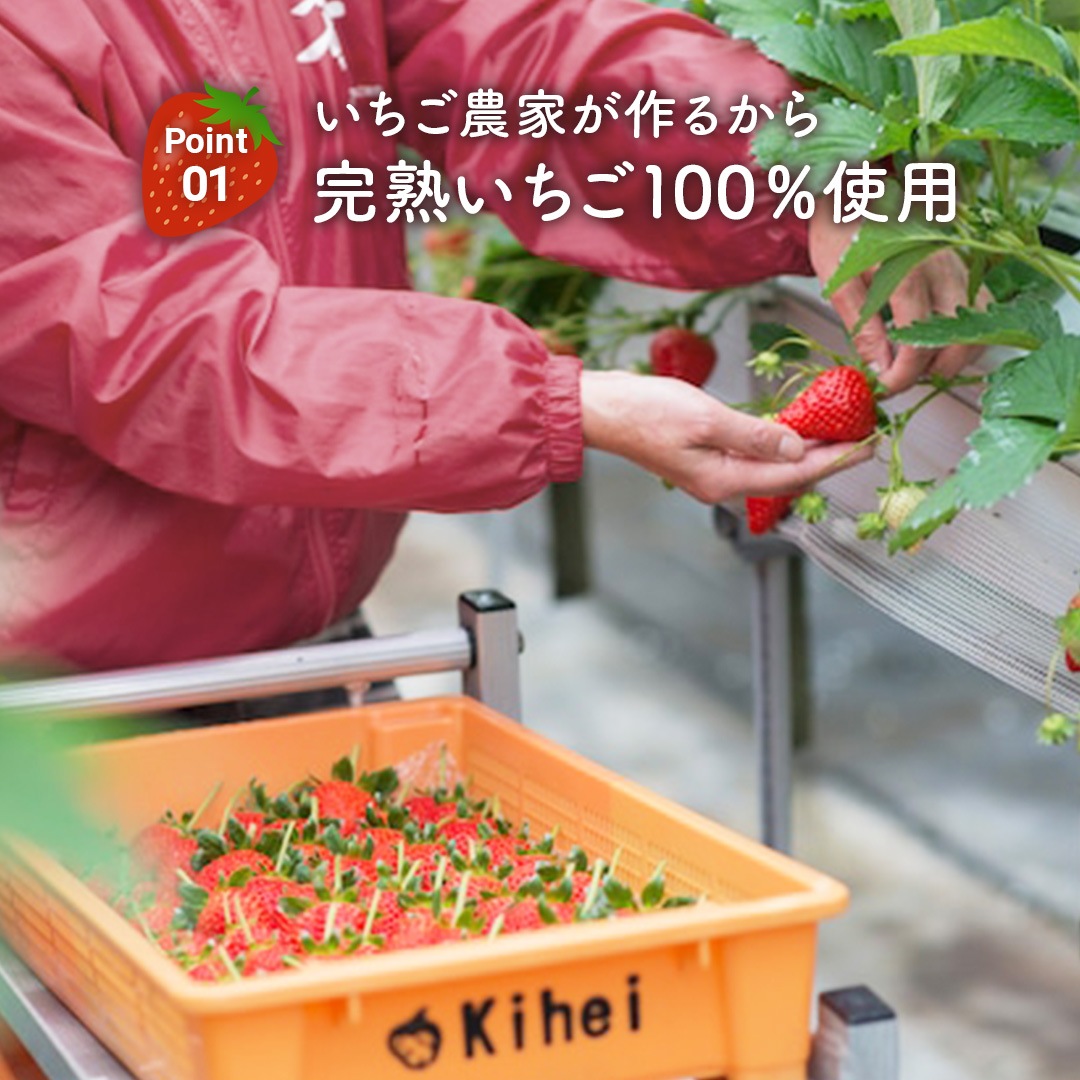 ◎いちごさん　専用ページ いちごさん AA等級 4〜12粒 240g×2パック 佐賀県産 JA佐賀 白石