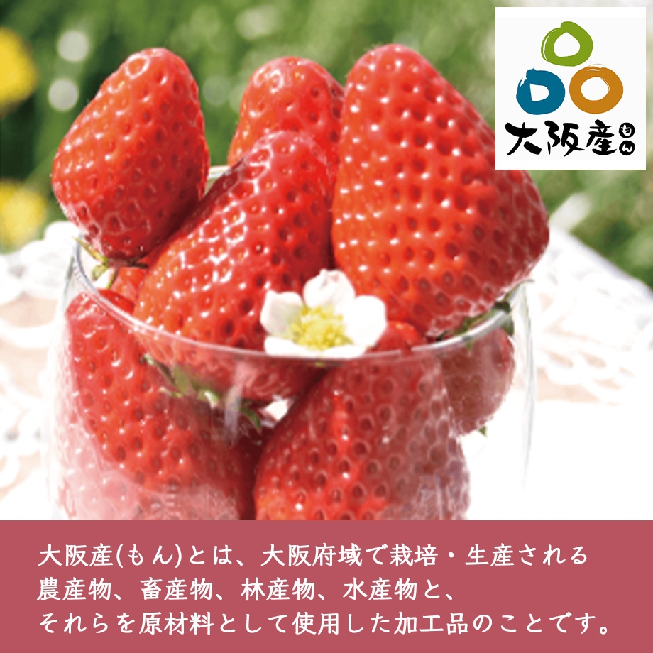 プレミアムイチゴ (特大サイズ) 紅ほっぺ21粒(735g以上) | お店から