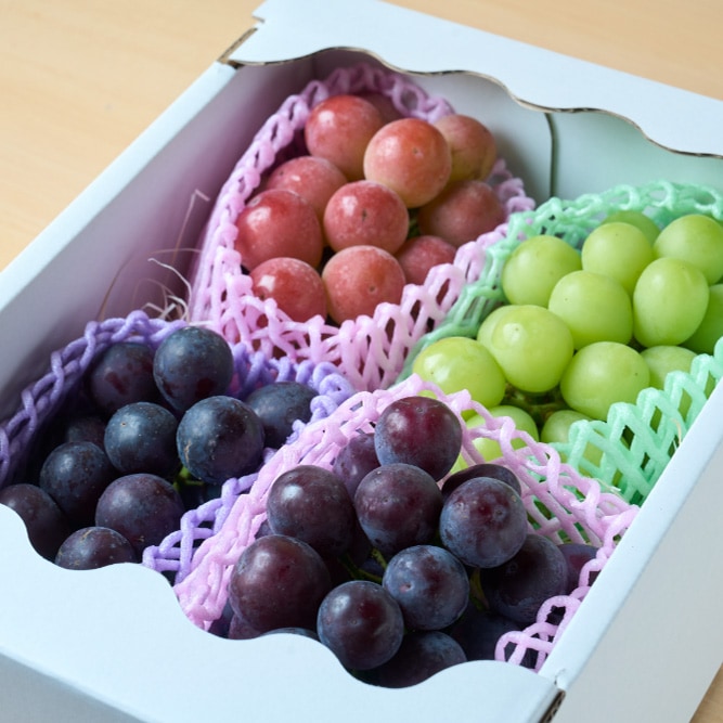 8月下旬発送開始！厳選朝採りぶどう詰め合わせセット | お店から探す