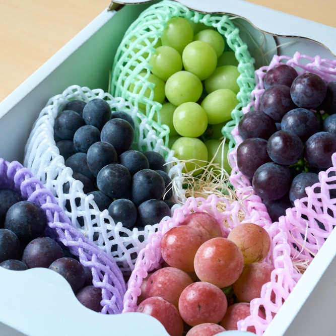 8月下旬発送開始！厳選朝採りぶどう詰め合わせセット | お店から探す