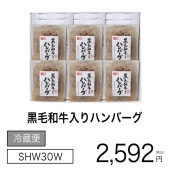 µϥС SHW30WڽȰѥڡۡ¢
