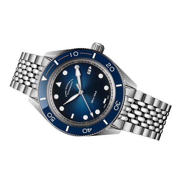ARINIS��AF01-1002