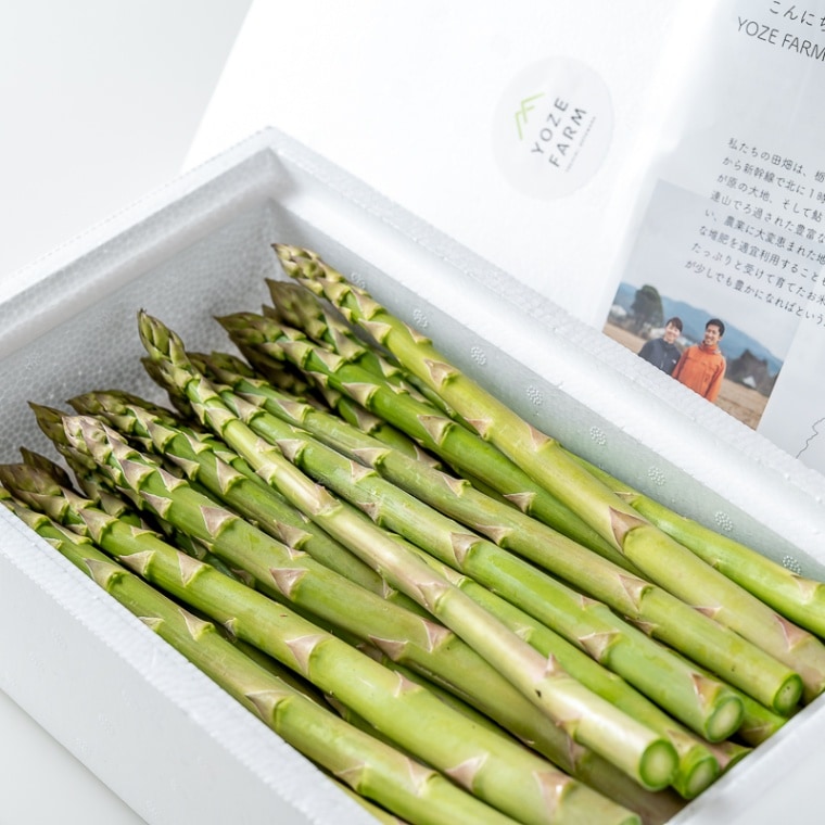 ゆうじん.Ltd専用アスパラガス苗 Lサイズ アスパラガス 超大株 ゆうじん.Ltd専用アスパラガス苗 Lサイズ アスパラガス 超大株