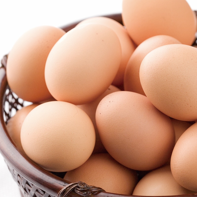 �𸫾�Ź ��������ܸ����񡡶ˡס�10����