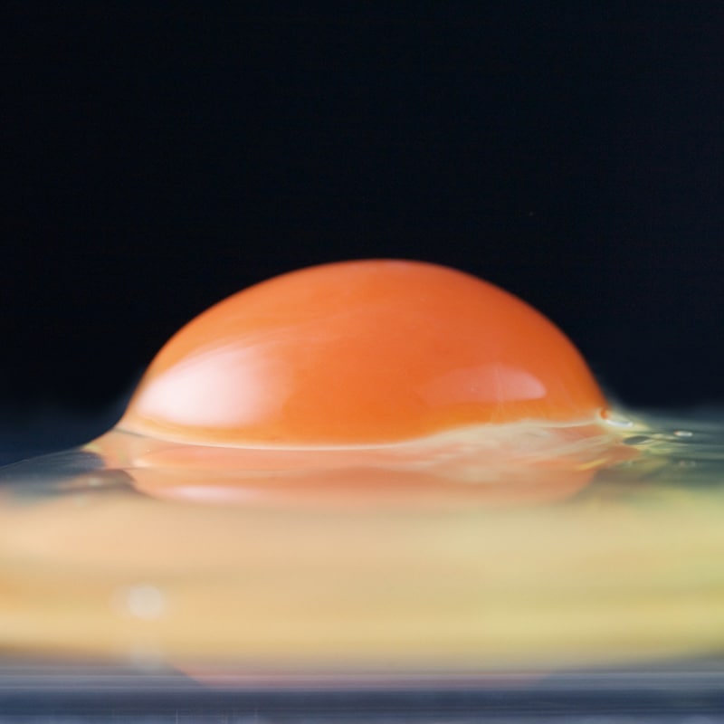 �𸫾�Ź ��������ܸ����񡡶ˡס�10����