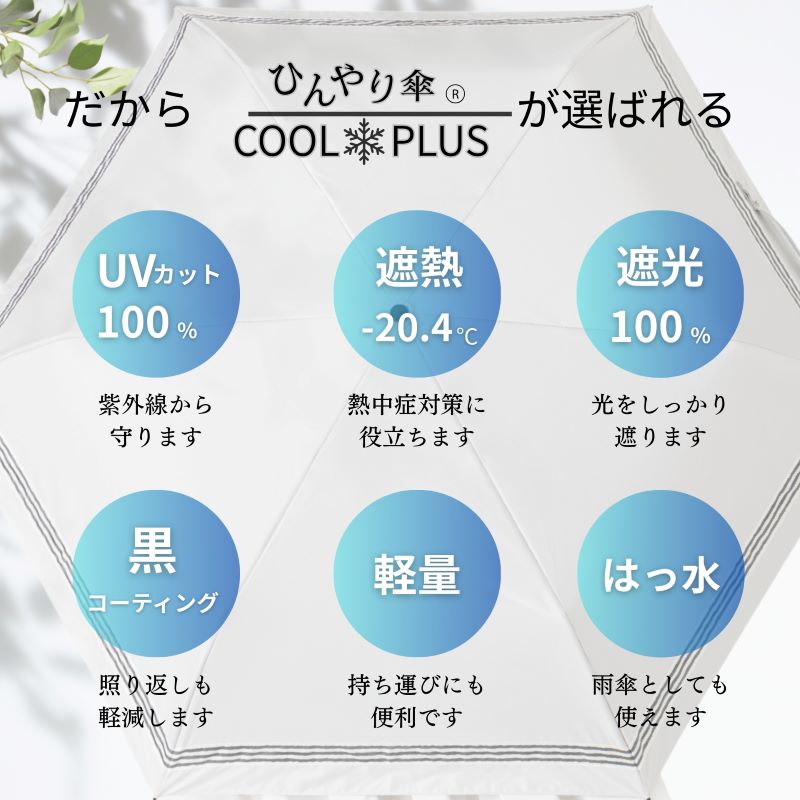 UV遮熱遮光三つ折り傘　晴雨兼用　ボーダーリボン ホワイト　50ｃｍ