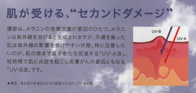 エアウォール　50ｍｍ　紫外線約97％カット　顔や皮膚の貼るUVケア