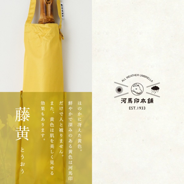 長傘のような上品な丸みのある折りたたみ日傘　藤黄／とうおう　55ｃｍ　遮熱・遮光　