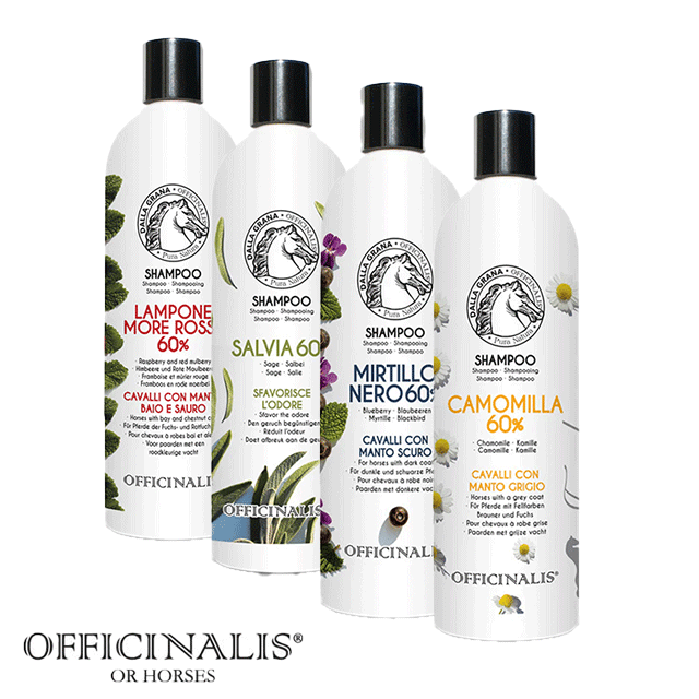 OFウォッシュシャンプー | For Horse 馬用品,ホースケア