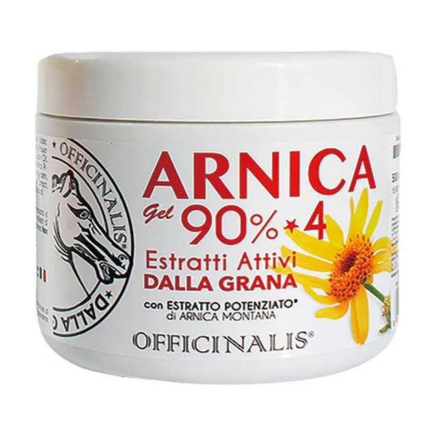 SABBATICL ARNICA アルニカ グランドシート付】SABBATICAL ARNICA (アルニカ )