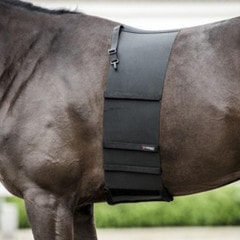 �ã������ܥǥ��������