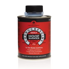 CDMաեХꥢ֥饷դ500ml