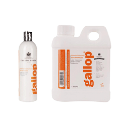 CDM ������å� ����ǥ�����˥󥰥����ס�