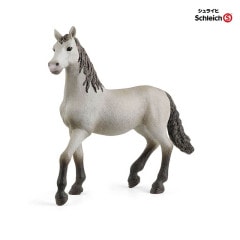 饤ҡץ饶ѥ˥硼ʻơ