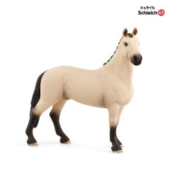 饤 ϥΡСʥåɥ󡦥