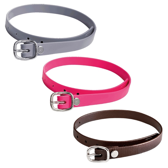 馬　ウェルカムベル 馬 ウェルカムベル