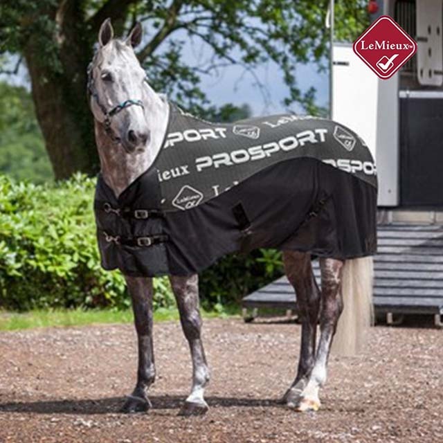 LeMieux �����ܥ� �����顼�饰